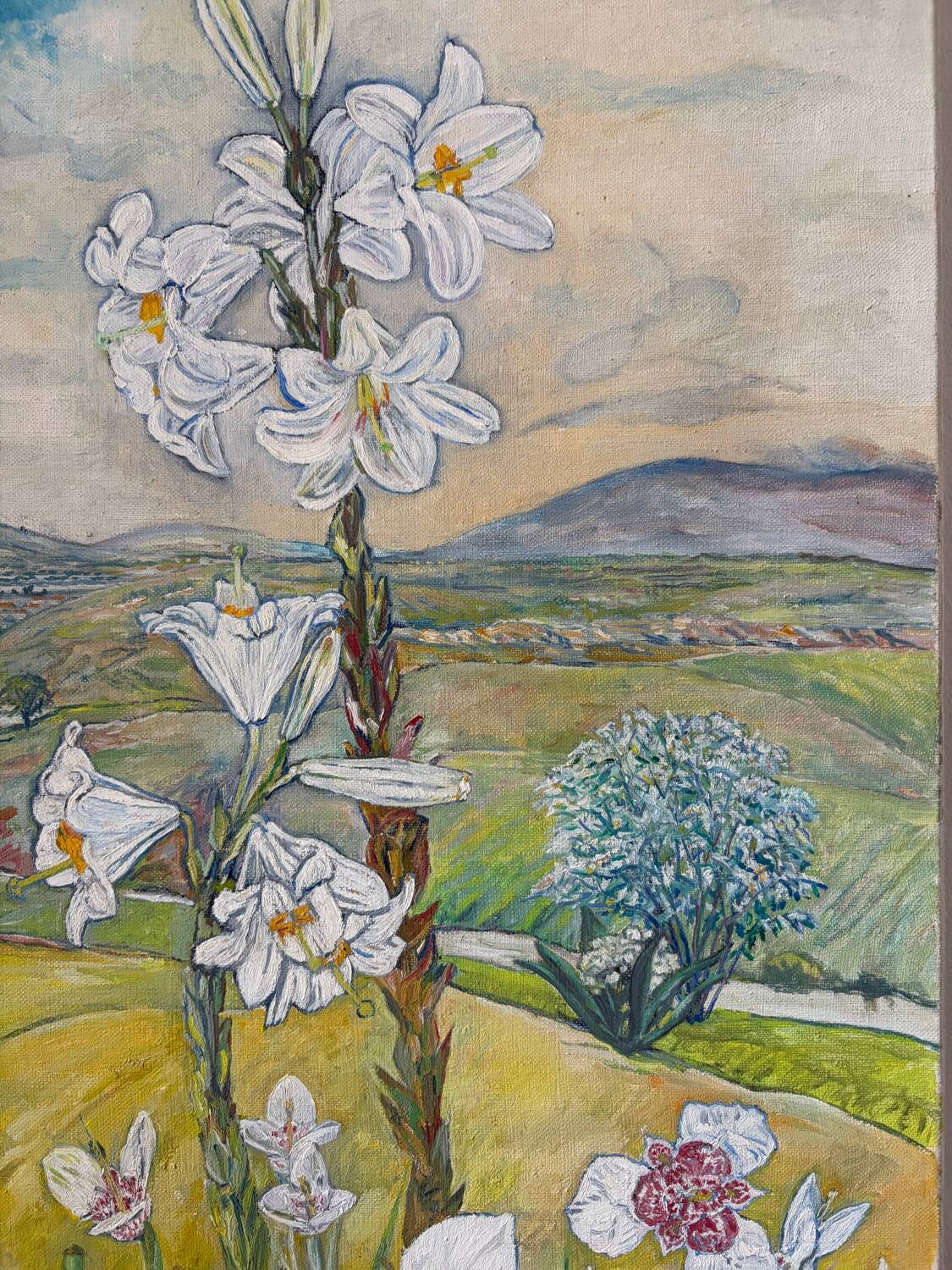 List of tigridias and hollyhocks, signed Maurice Bouillot 1972