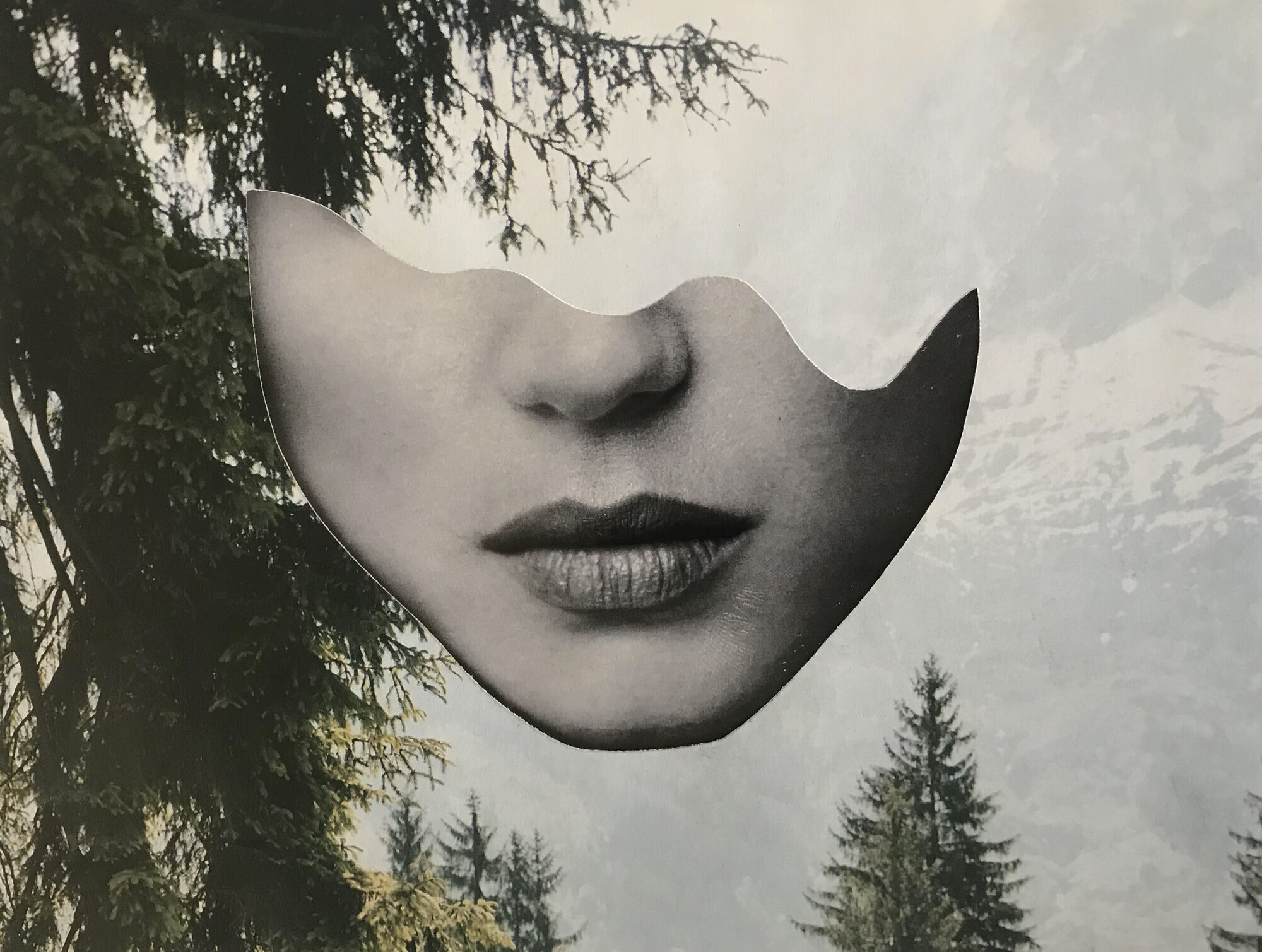 Face 2 - Collage