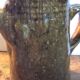 Wabi-Shabi stoneware coffee maker