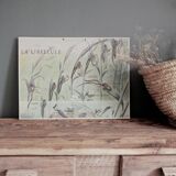 Dragonfly school poster