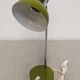 Articulated desk or bedside lamp, Italy circa 1970.