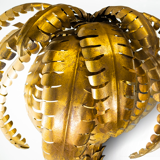 Mirror palm in golden iron 125x180cm