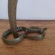 Cobra bronze lamp base