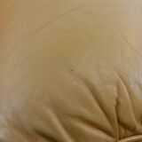 Brazilian Style Leather Seating Group