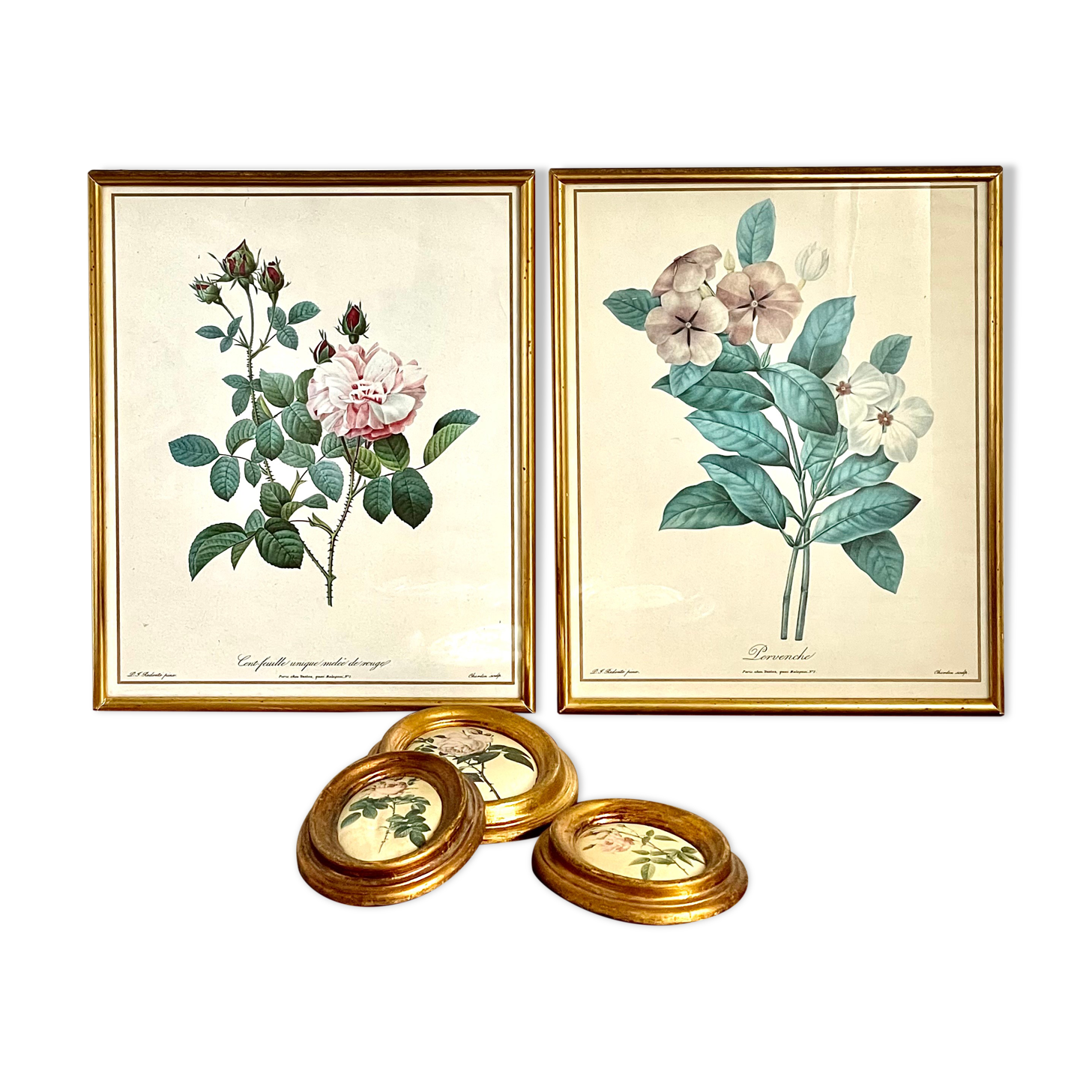 Set of two reproductions of Redouté framed in gilded wood.
