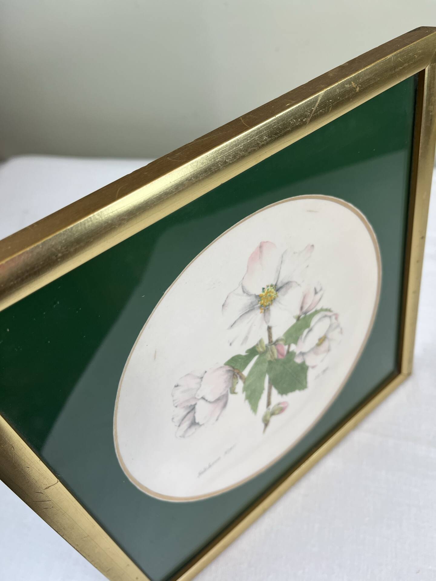 Hand-enhanced botanical plate