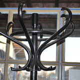 Coats Parrot wooden door