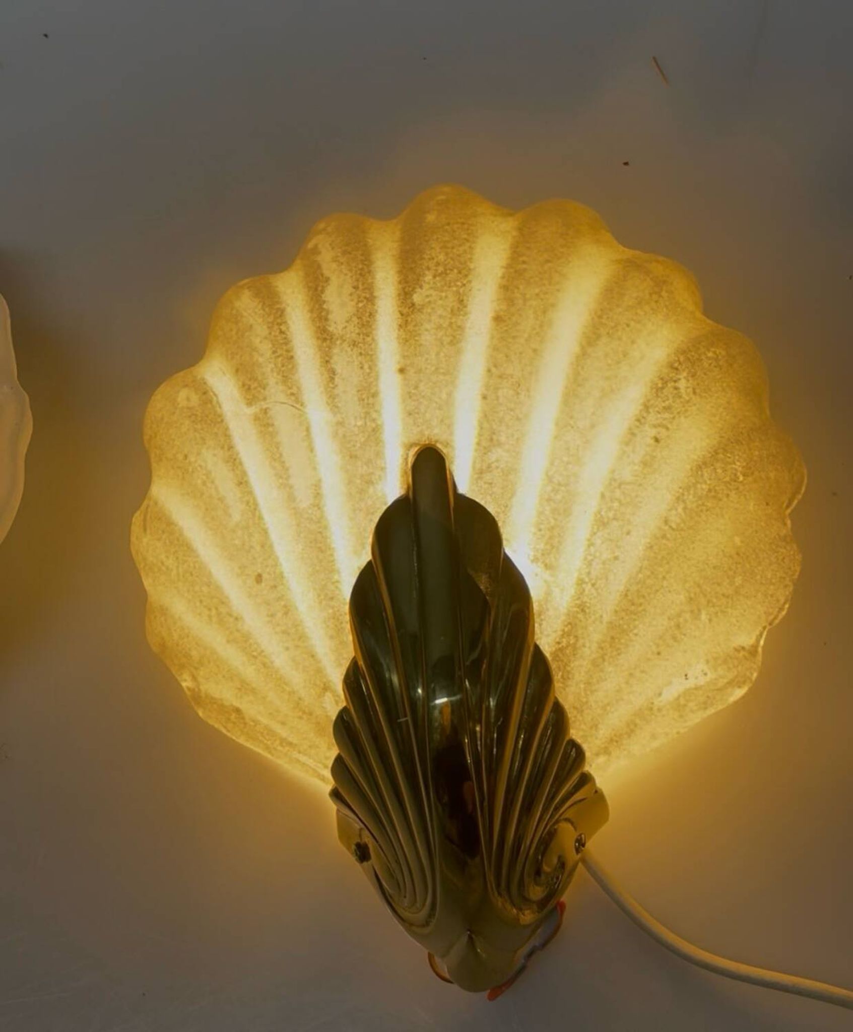 Appliques en verre de Murano en forme de coquillage, ensemble de 2