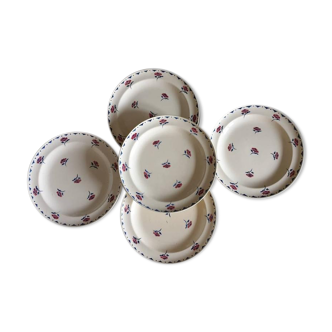 Old flat plates model "Ignace" of the French manufacturer Moulin des Loups