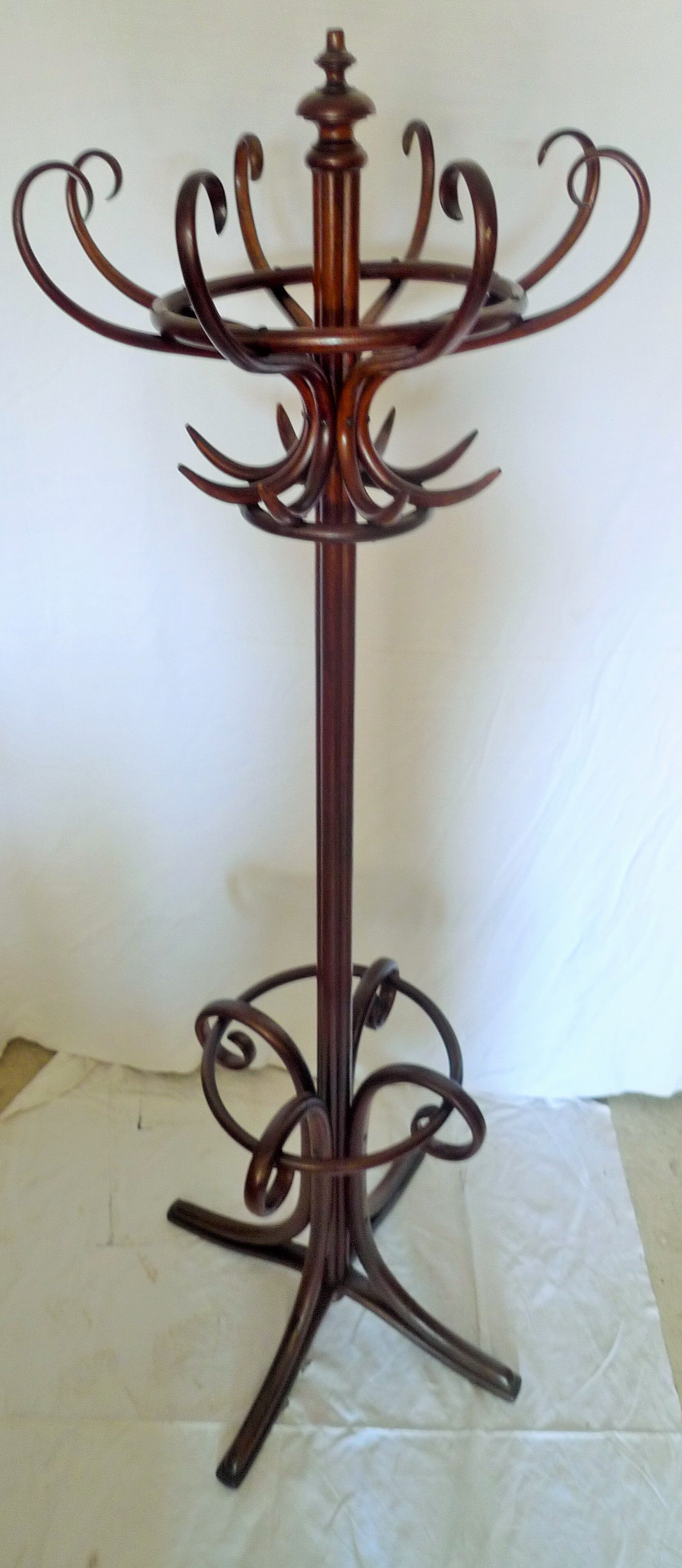 Wearing parrot coat 8 branches