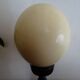Ostrich egg on blackened wooden base - object of curiosity