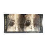 Old photography stereo, stereograph, luxury, albumine 1903 Bavarian Alps