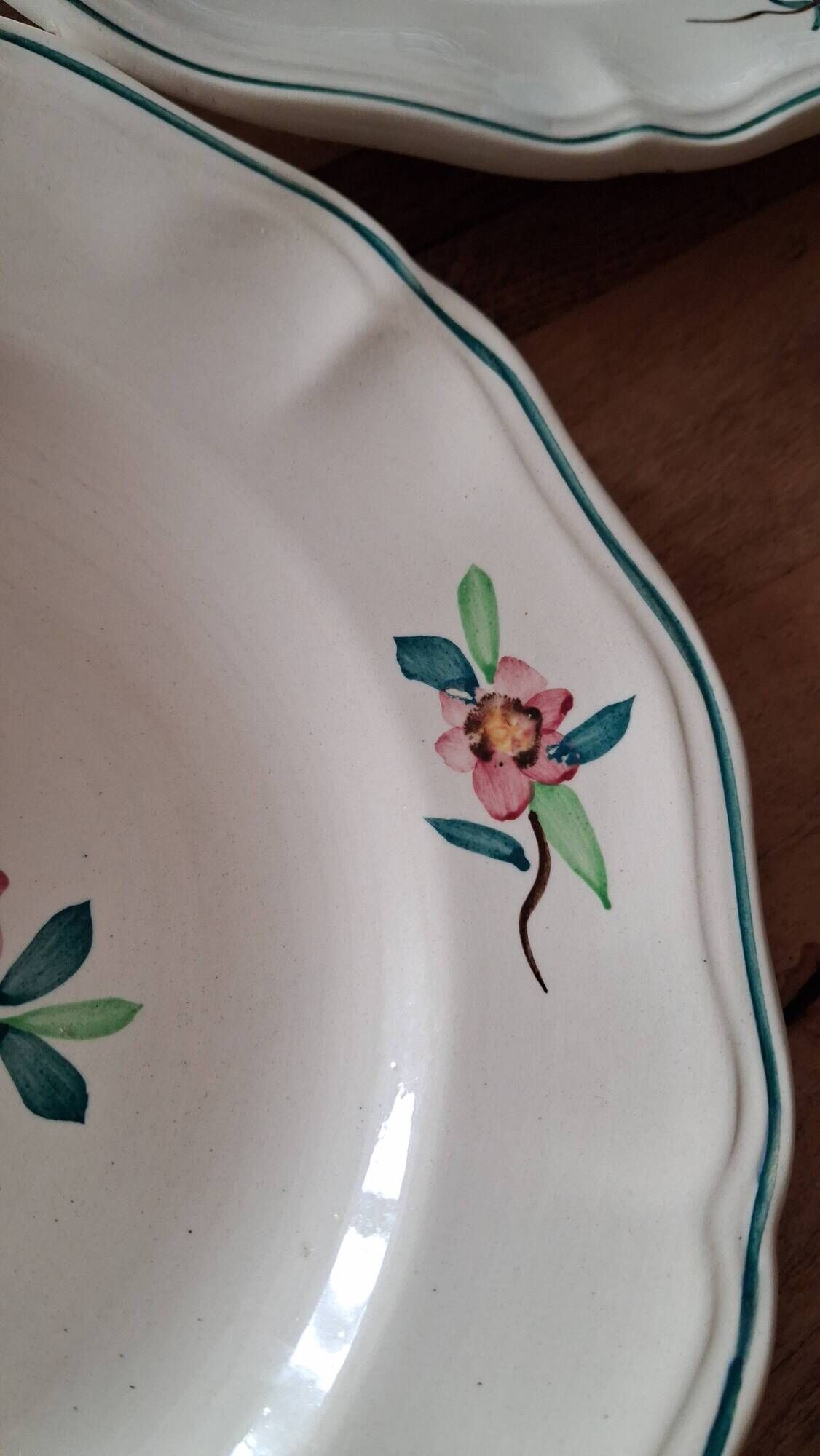 Amazonas plates Sarreguemines