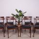 Set of 8 danish dining chairs by Ole Wanscher for Poul Jeppesens Møbelfabrik, 1960s