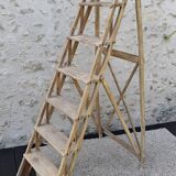 Large stepladder