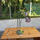 Hollywood Regency flower lamp in chrome steel and glass from the 1970s.