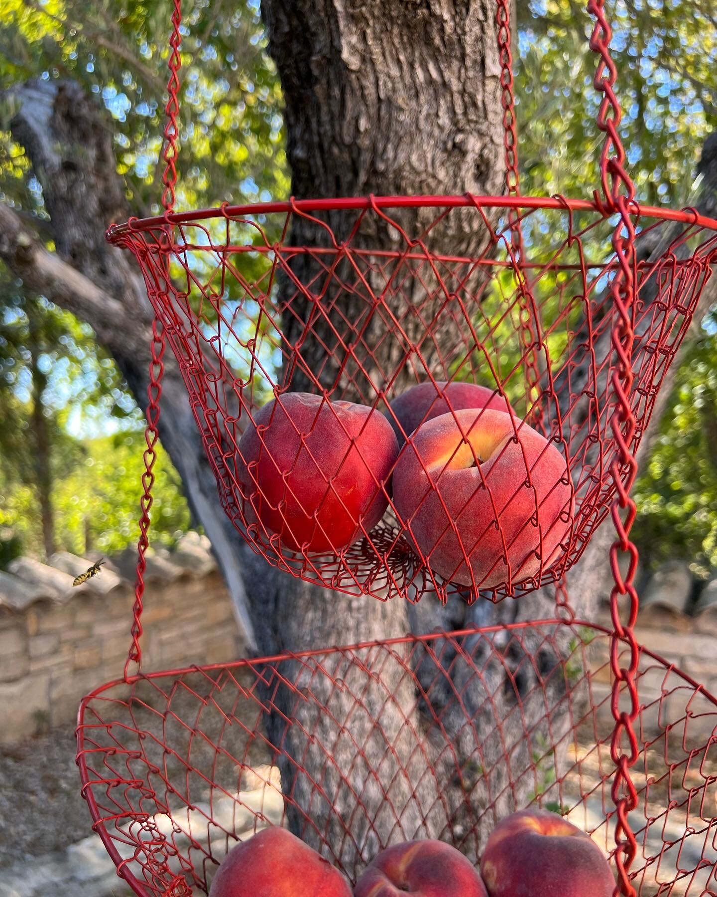Hanging pan