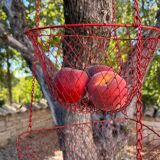 Hanging pan