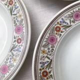 Hollow porcelain plates