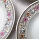 Hollow porcelain plates