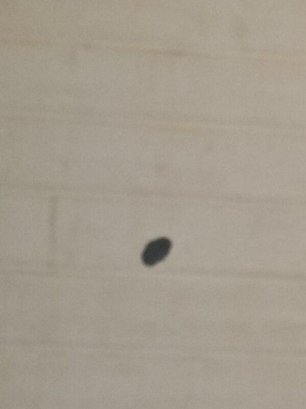 Oval mirror patinated brass frame art deco