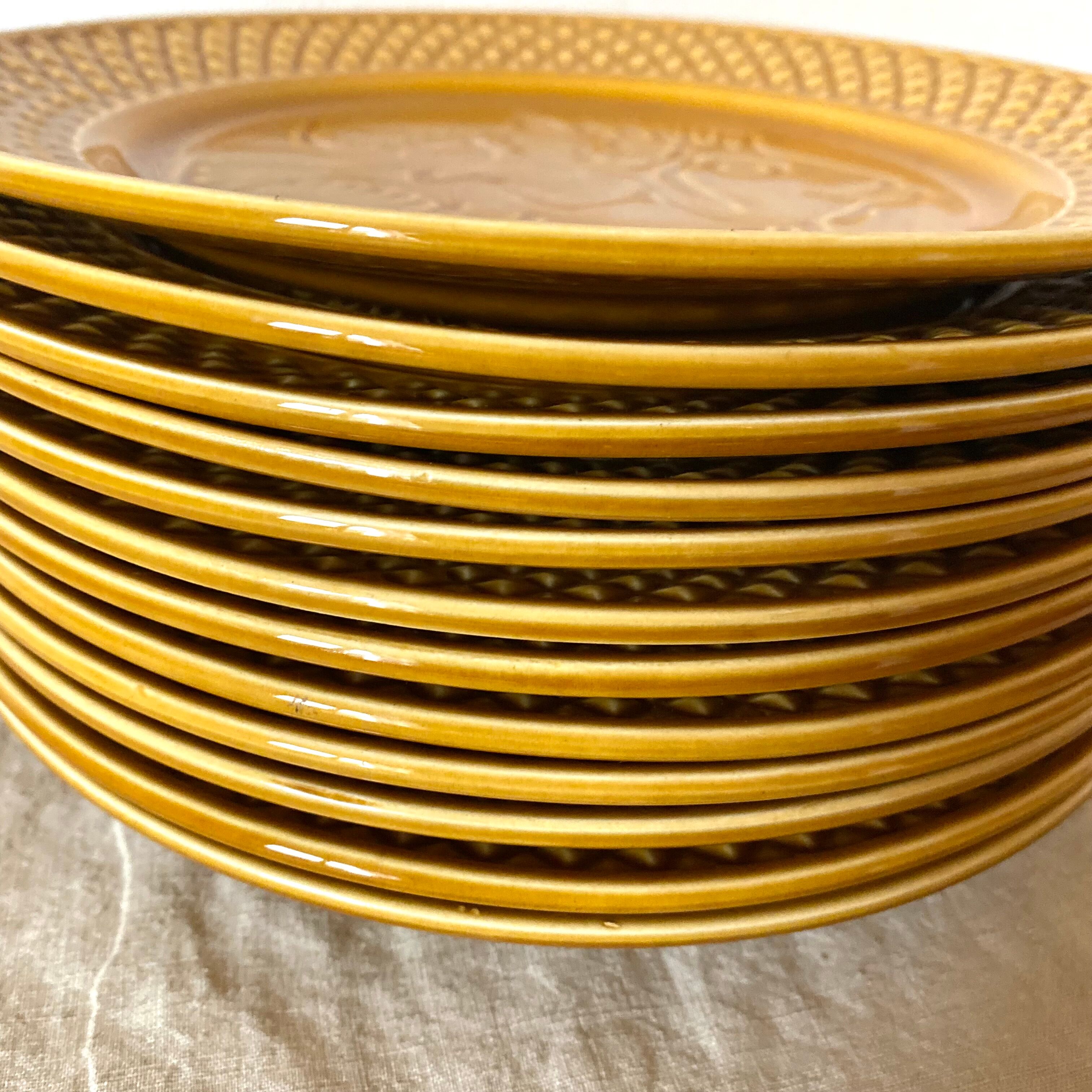 Flat plates in ceramic fish