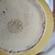 Villeroy and Boch teapot