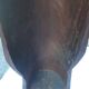 Large carved African head in exotic wood – Madagascar – 65 cm