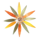 Applique ou plafonnier fleur 70s
