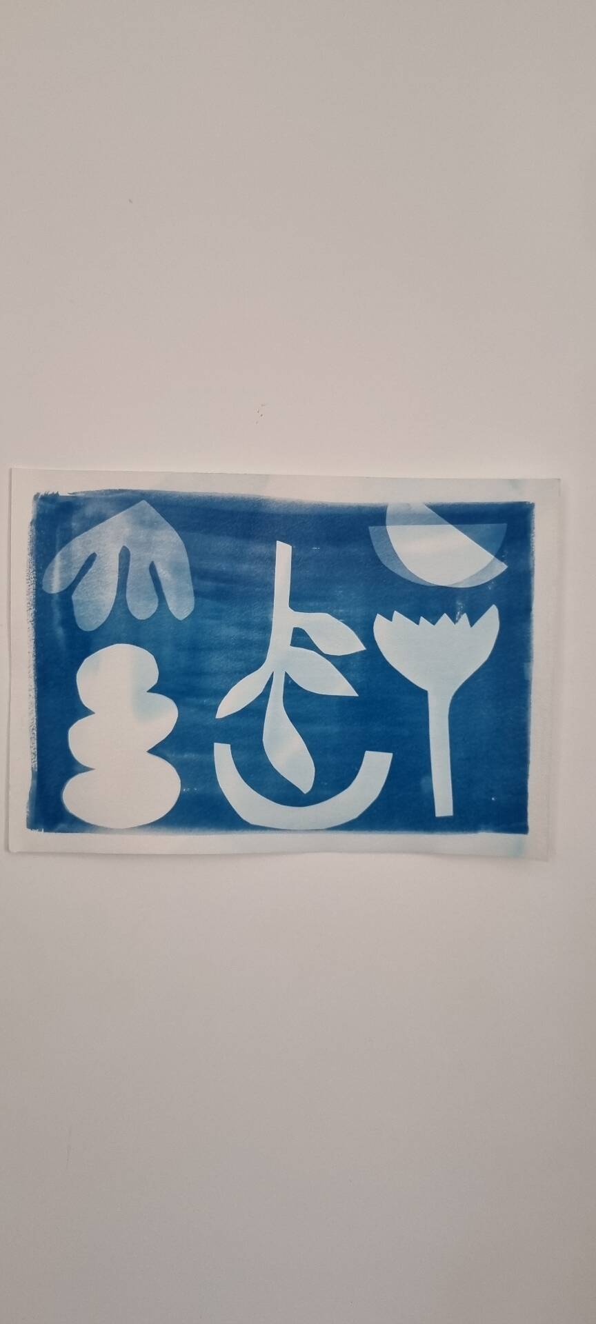 Graphical cyanotype