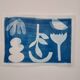 Graphical cyanotype
