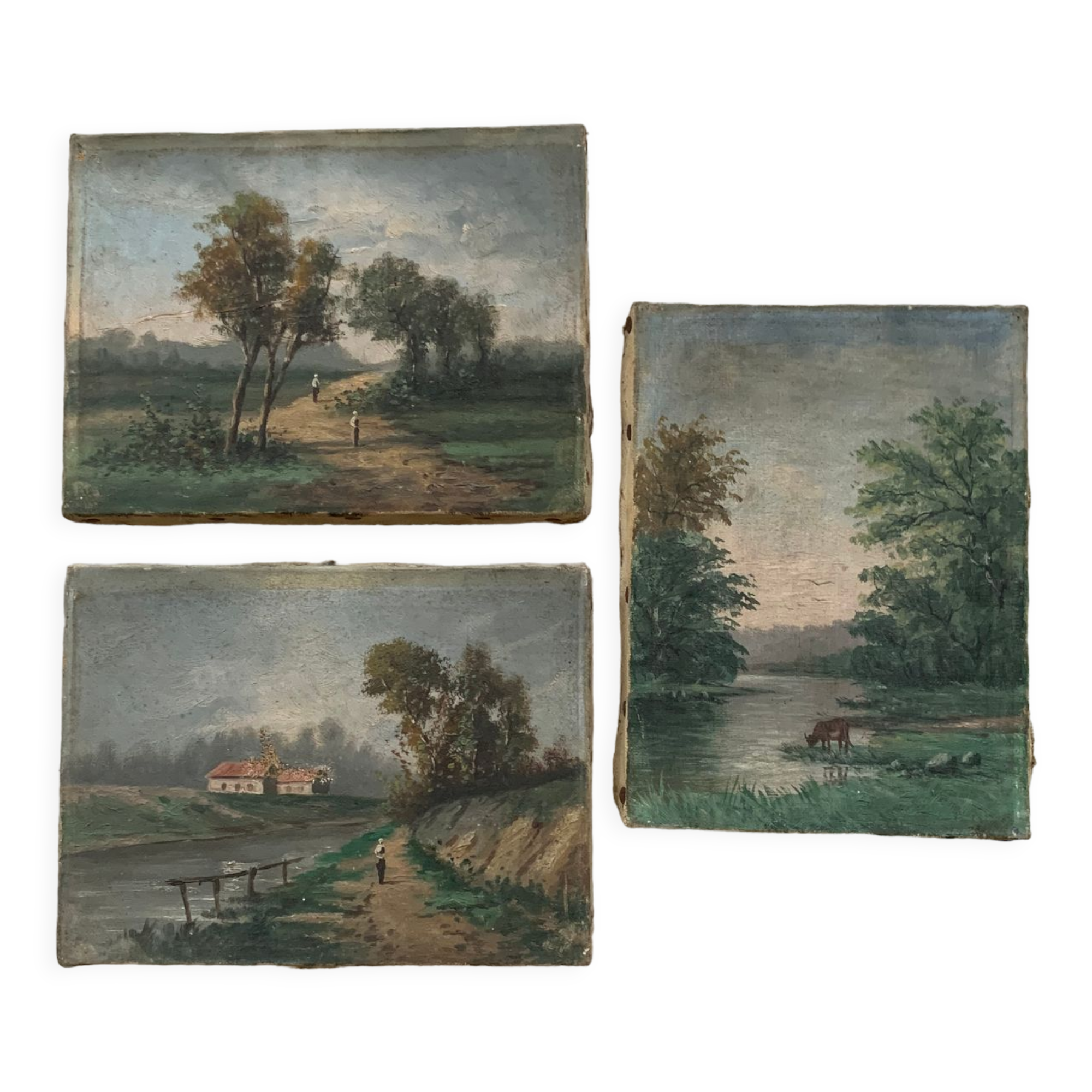 Suite of 3 paintings XIXth