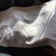 Hemp sheet embroidered MR very old seam central days crossed
