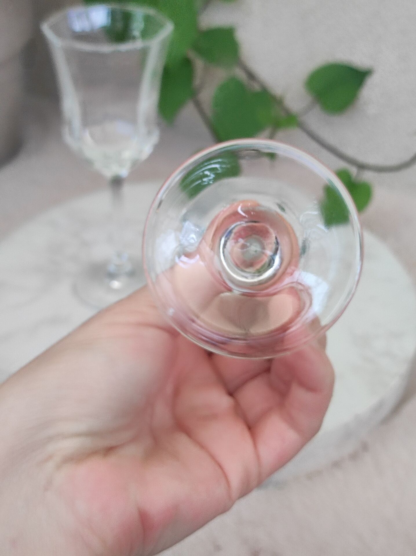 Verres à vin modèle octime