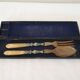 Old horn + silver-plated metal salad servers in their case