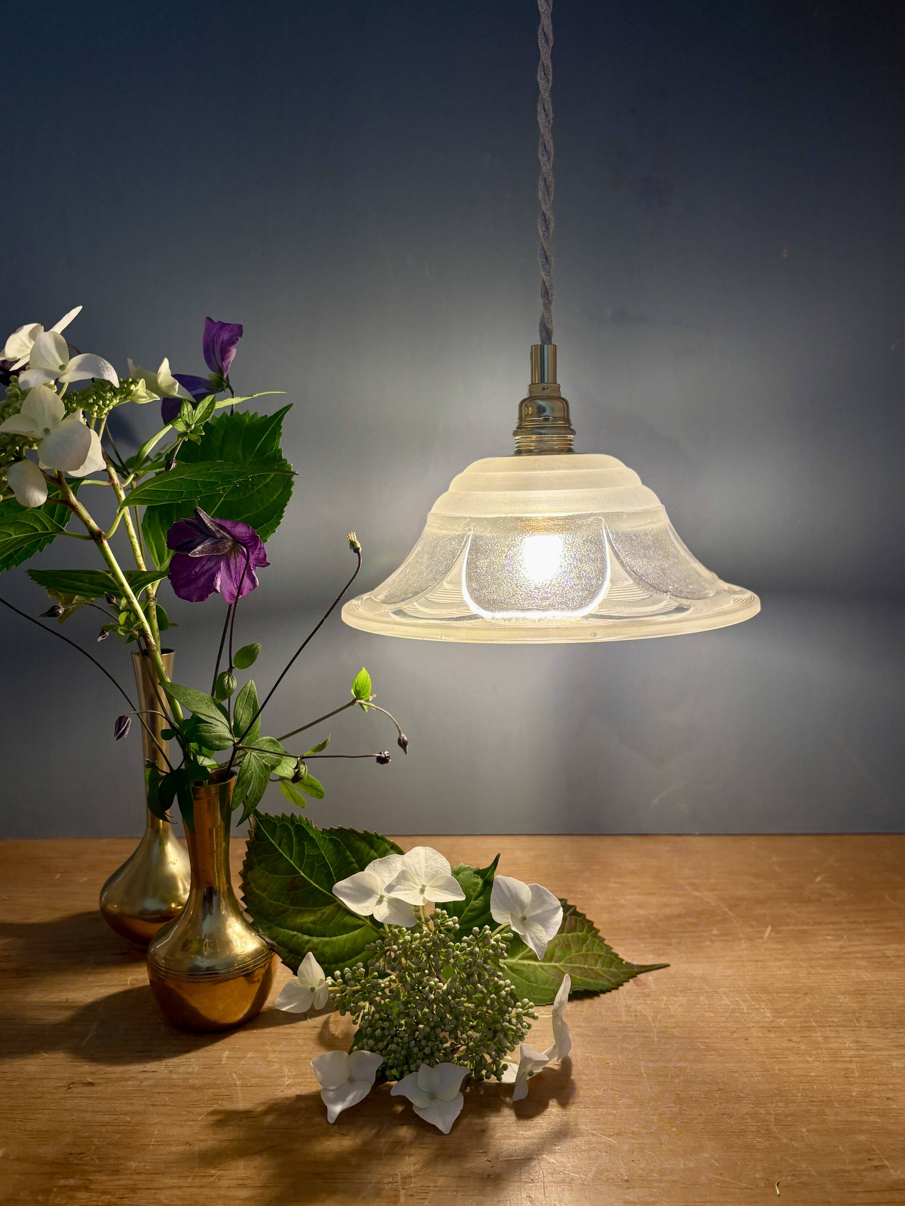 Vintage glass flower pattern lampshade pendant light