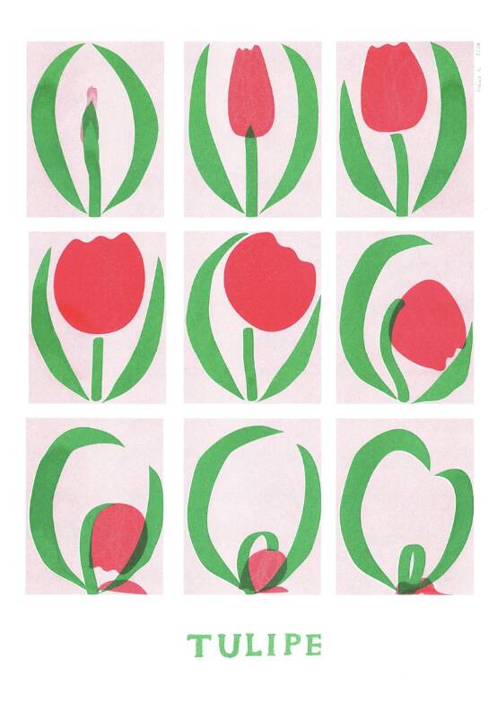 Poster, Tulip