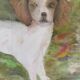 Dog painting by Heigel