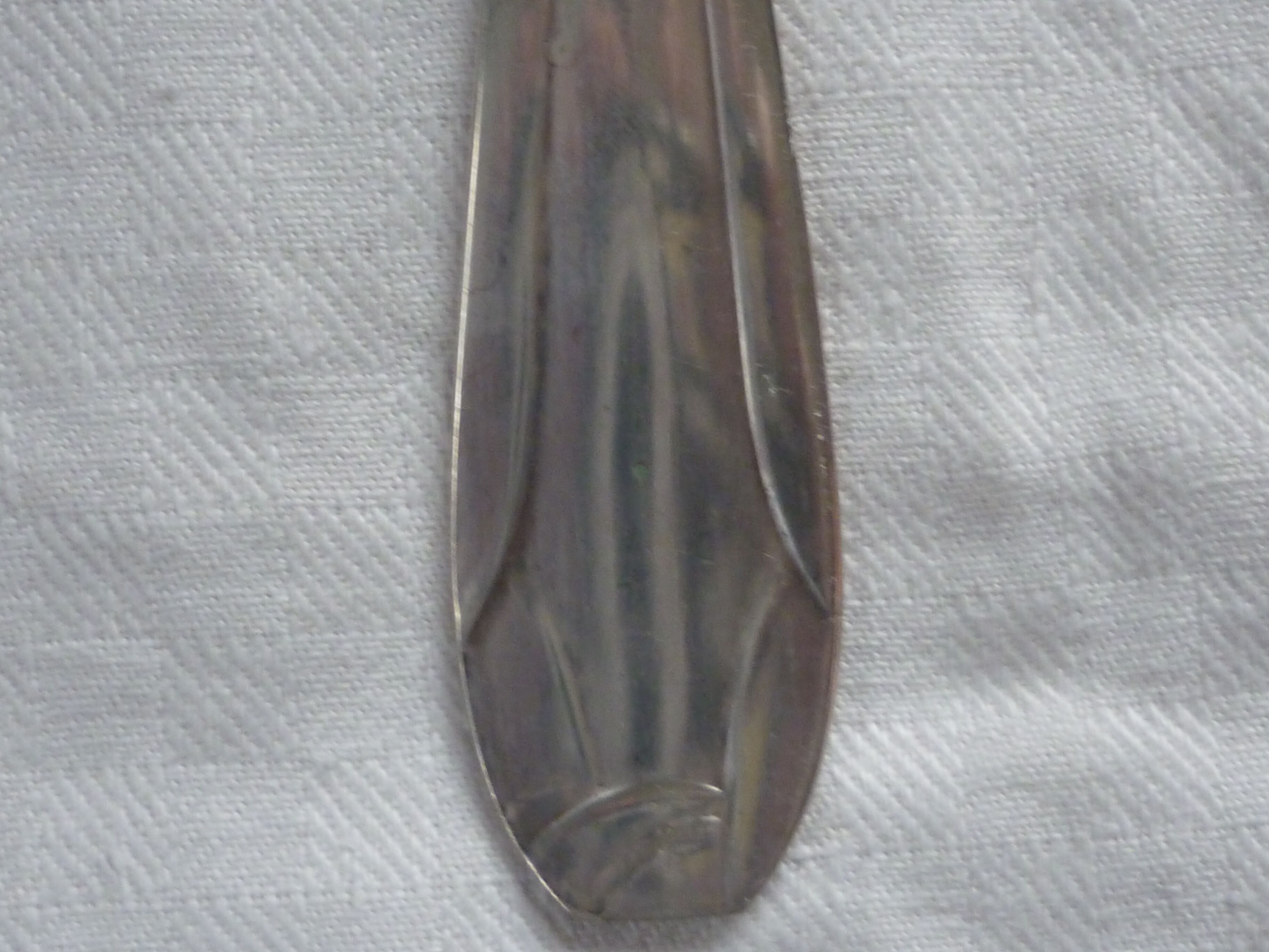 Asparagus pelle, silver metal gates