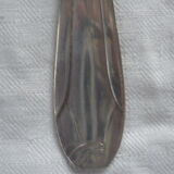 Asparagus pelle, silver metal gates