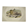 Original zoological plate of 1839 " the trout, the epinoche,....,....,....