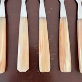 Set of 12 vintage forks and case
