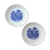 Pair of English plates