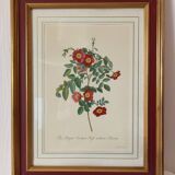 Vintage framed botanical poster