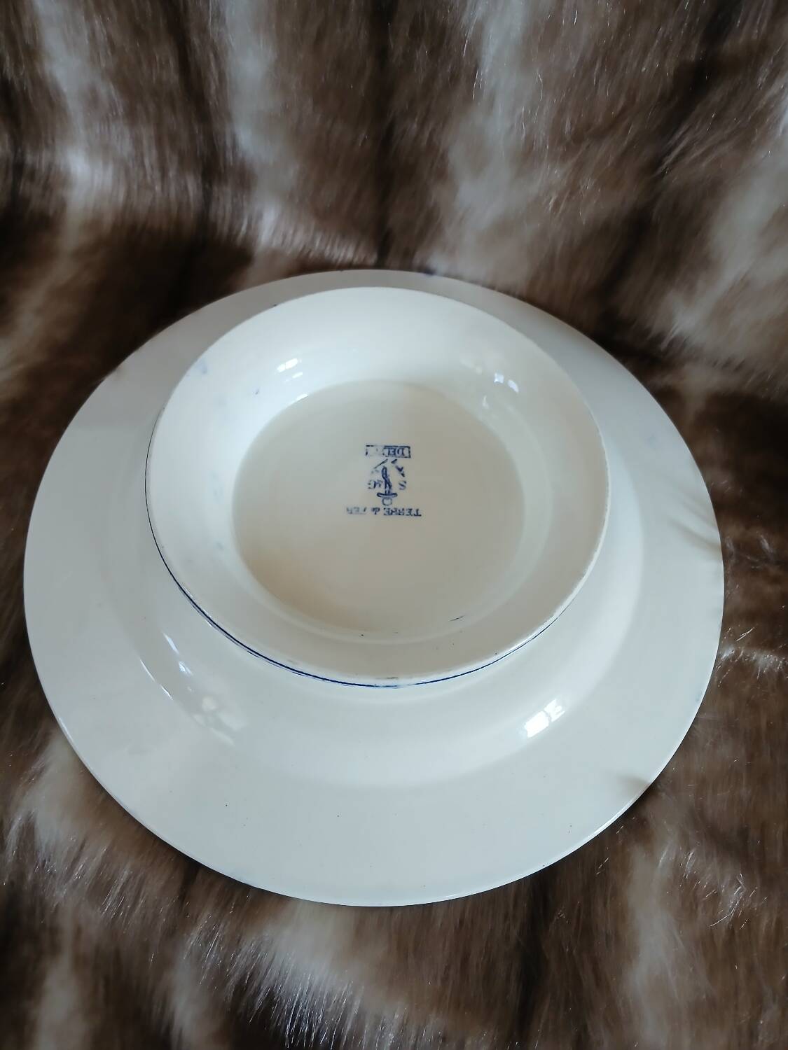 Small antique dish in ironstone