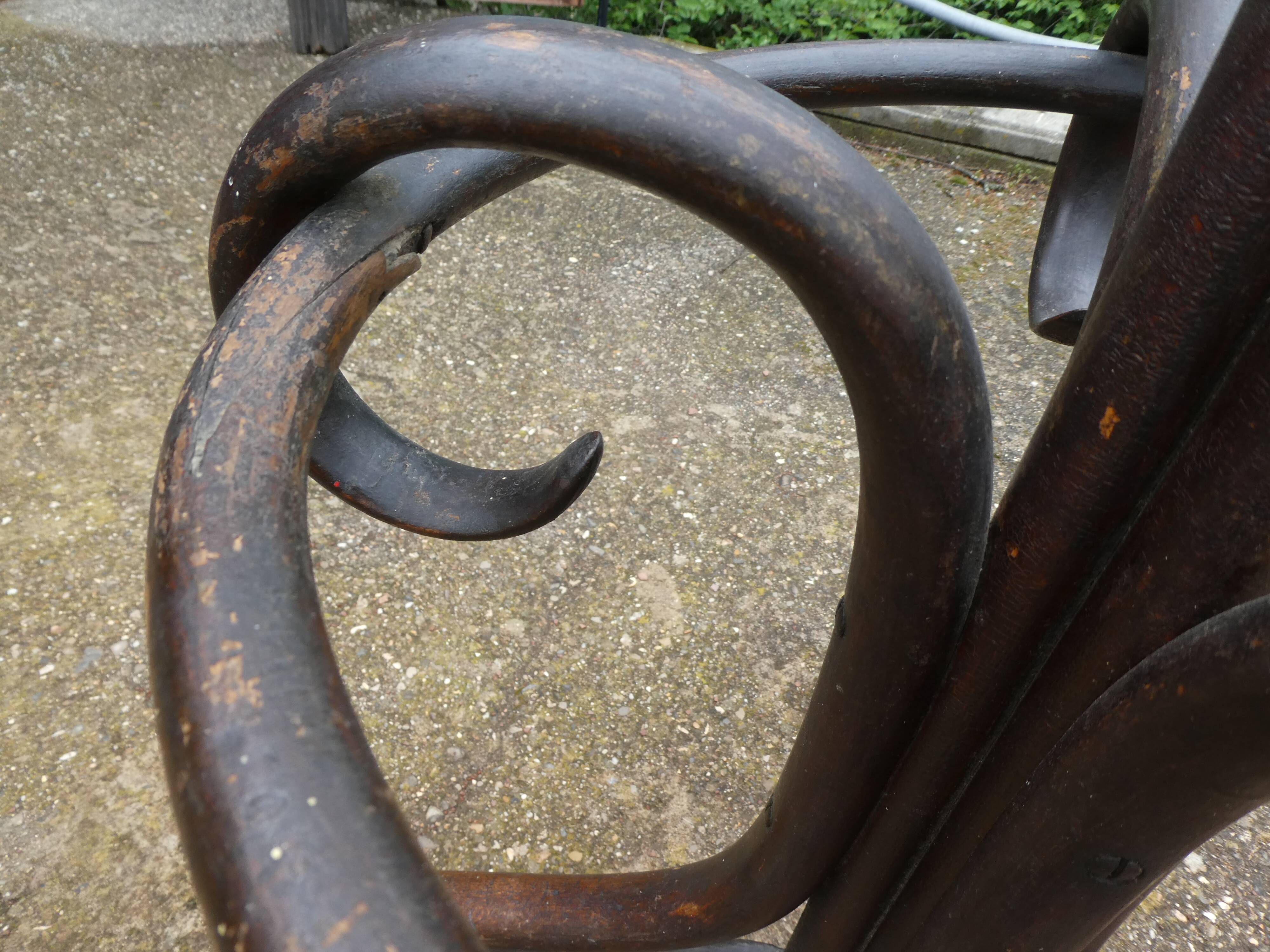 Parrot coat holder in curved wood - Art Nouveau
