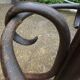 Parrot coat holder in curved wood - Art Nouveau
