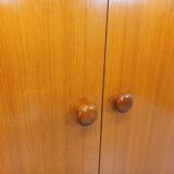 Vintage modernist teak and walnut wardrobe from the 60s and 70s