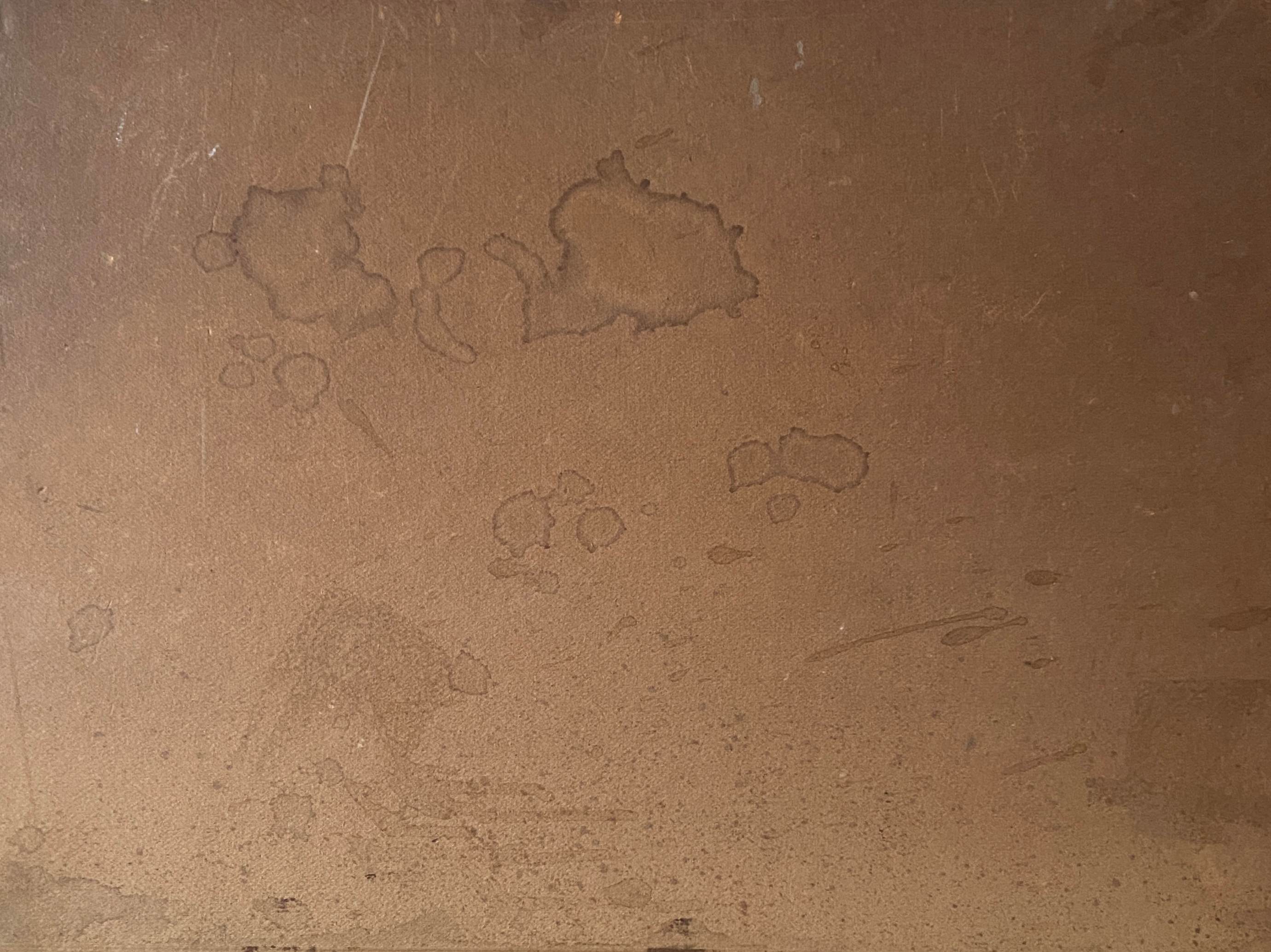 ableau Grand pastel 1922 signed Landscape of pond signed