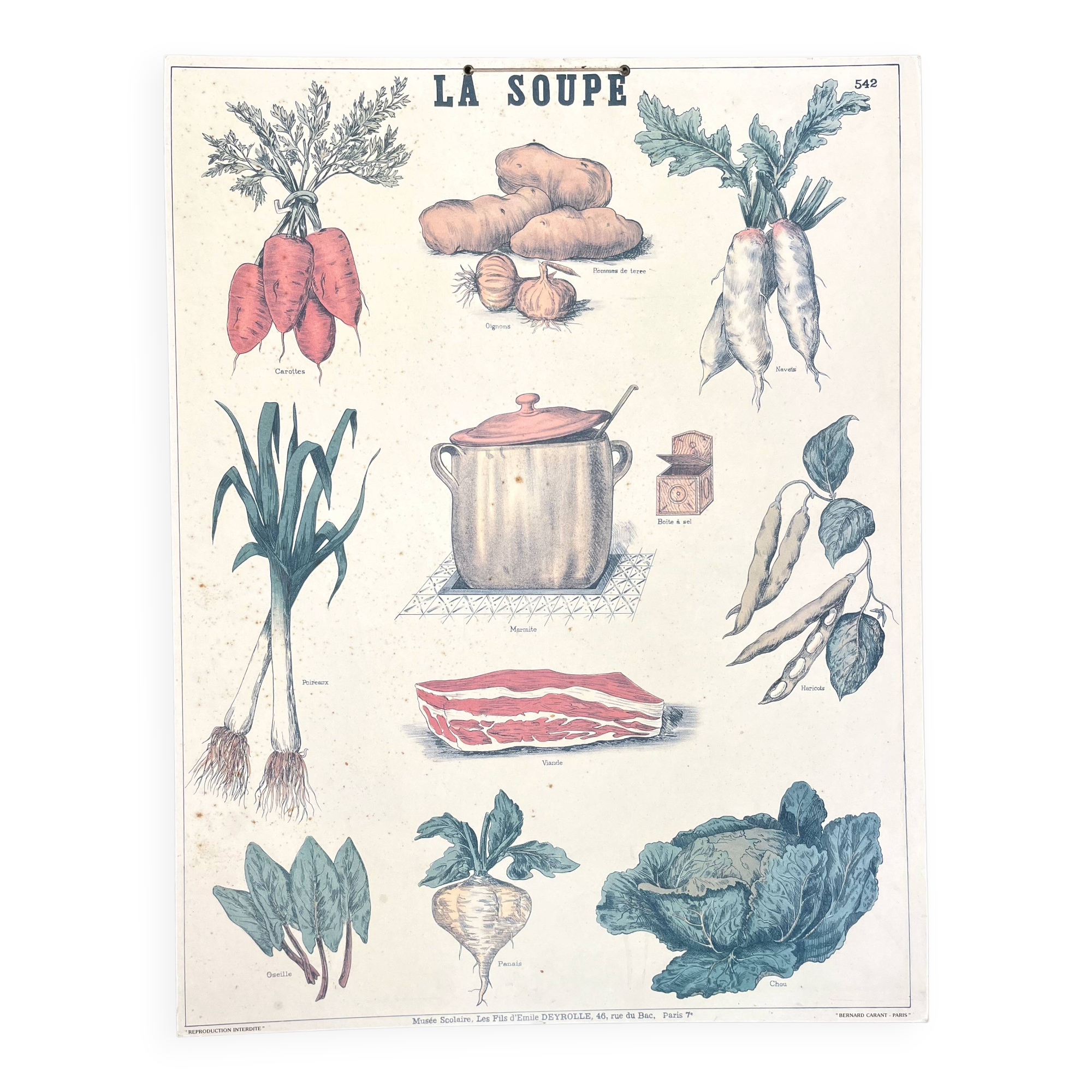 🥕 Ancienne affiche scolaire Deyrolle originale, 542, 1950 - La soupe, les